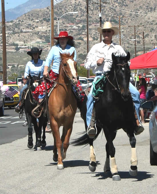 Yucca Valley Equestrian Center Full Service High Desert Equine Center